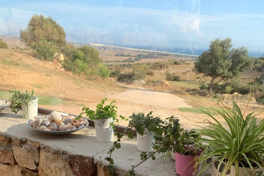 Natural Dream Apartment Blue Wifi طريفة المظهر الخارجي الصورة
